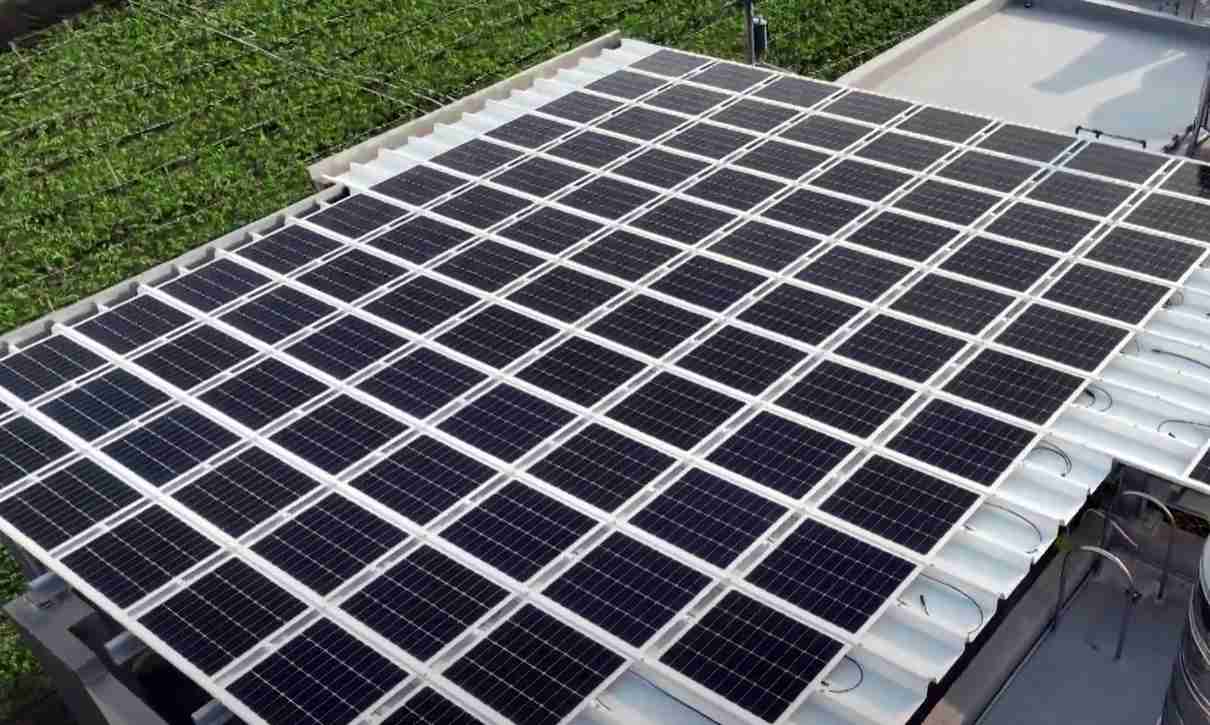 PG国际SunSteel光电浪板升级双玻结构，，，，以提升机械负载强度及气候耐候度，，，可广泛运用于多元场域